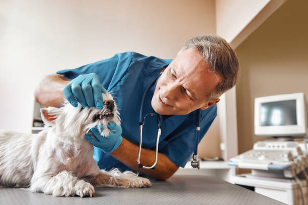 Best Pediatric Emergency Dentist in Oakland, OK